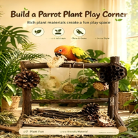 Jouet à mâcher pour perroquet en bois d'orme, pour les dents et contre l'ennui, coffret cadeau combiné