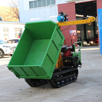 Mini-dumper tout-terrain chenillé avec grue électrique, charge utile 1000 kg, chargeuse chenillée, meilleures ventes en Chine