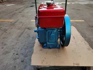 Прямые продажи от производителя, большой инвентарь r175A, 8 лошадиных сил, ручной одноцилиндровый дизельный двигатель с водяным охлаждением - Product Image 5