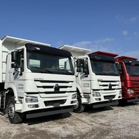 Venta Global de Camiones Volquete HOWO de 10 Ruedas, Todo Tipo, Bien Recibidos, Buen Estado, Motor Weichai Euro 3, Volante a la Izquierda, Diésel