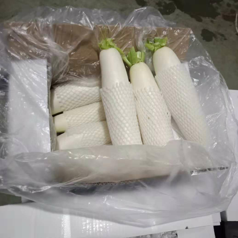 White Radish Size 500 900g New