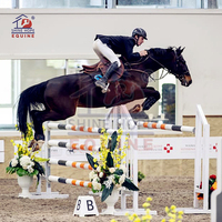 Bloc de saut en aluminium saut à cheval parcours d'obstacles extérieur spectacle équestre obstacle de saut