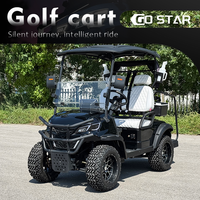Carrito de Golf de 2 Pasajeros Equipado con Batería de Plomo-Ácido, Plataforma de Carga Grande, Vehículo de Doble Uso para Pasajeros y Carga, Ideal para Villas y Parques