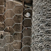 Grillage hexagonal à petits trous pour la volaille, clôture de poulailler, cage à lapins et clôture de jardin