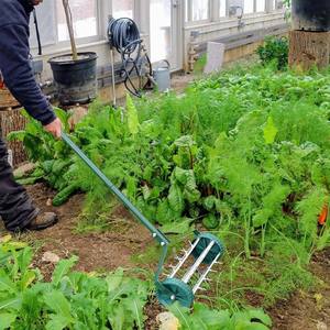 Aérateur rotatif de <span class=keywords><strong>pelouse</strong></span> de sol de pointe de dent de poussée de roulement avec l'outil de poignée <span class=keywords><strong>en</strong></span> acier pour l'<span class=keywords><strong>entretien</strong></span> d'herbe de cour de jardin vert - Product Image 5