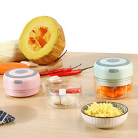 Usb 250/100Ml Vlees Ui Knoflook Groente Chili Mincer Oplaadbare Draagbare Stamper Druk Mini Elektrische Knoflook Chopper