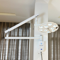 Lampe chirurgicale murale 70000 Lux LED sans ombre pour hôpital vétérinaire, clinique vétérinaire, éclairage d'examen médical