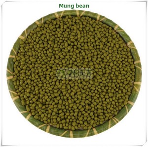 Simulación <span class=keywords><strong>de</strong></span> granos, cereales, café, cacahuetes, maíz, soja, frijol mungo, frijol rojo, adornos decorativos, accesorios <span class=keywords><strong>de</strong></span> fotografía, <span class=keywords><strong>sin</strong></span> origen. - Product Image 3