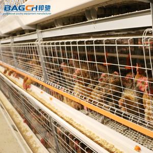 Jaula <span class=keywords><strong>de</strong></span> <span class=keywords><strong>pollos</strong></span> <span class=keywords><strong>de</strong></span> varios niveles para <span class=keywords><strong>granja</strong></span> <span class=keywords><strong>de</strong></span> aves <span class=keywords><strong>de</strong></span> corral, para cría <span class=keywords><strong>de</strong></span> <span class=keywords><strong>pollos</strong></span>, totalmente automática, comercial, <span class=keywords><strong>de</strong></span> pavo - Product Image 3