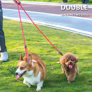 Laisse de course mains libres pour animaux de compagnie, double laisse en nylon pour 2 chiens, chaîne de promenade pour animaux, fournitures pour animaux de compagnie en gros - Product Image 4