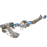 Turnkey project multifunctionele sapmachine professionele automatische ananas mango citrus sapverwerkingsinstallatie