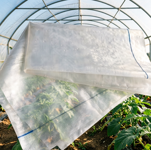 Film de serre tissé renforcé <span class=keywords><strong>200</strong></span> <span class=keywords><strong>microns</strong></span>, bâche polyéthylène robuste et imperméable pour la protection des vergers et des plantes - Product Image 1