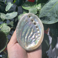 Vente en gros de bols en cristal de guérison de haute qualité, bols en coquille d'ormeau naturelle pour la décoration de la maison et les cadeaux de la Saint-Valentin