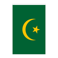 Ventes directes des fabricants 14*21cm Drapeaux Mauritanie pour les fans Décoration de vacances