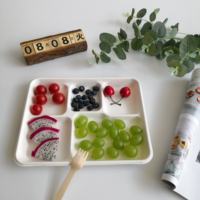 Plateau alimentaire jetable en fibres végétales biodégradables et écologiques, personnalisable, pour hôpitaux et camping, directement de l'usine