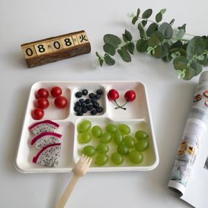 Customizable Eco-Friendly Biodegradable Plant Fibre Disposable <strong>Hospital</strong> Food <strong>Tray</strong> for Camping Direct from Factory - Product Image 2