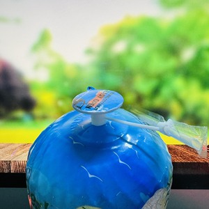 Noix de coco délicieusement fraîches - Product Image 1