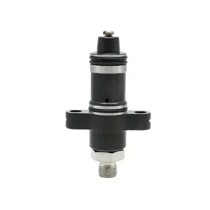 WEIYUAN Common Rail Pump Plunger Element F019D01303 CB18 Cho Các Bộ Phận Động Cơ Diesel Của Bosch