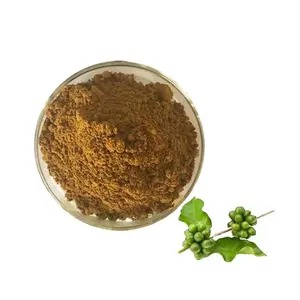 Naturale perdita di peso raws verde chicco di caffè estratto 50% acido clorogenico in polvere