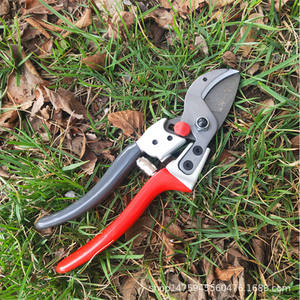 Sécateur pour arbres fruitiers Hisaichiro 828, lame en acier allié de 20-30 mm, structure papillon, outil de jardin - Product Image 4