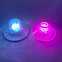 Autocollant lumineux LED en plastique coloré personnalisé OEM d'usine, étanche, pour promotions et événements vinicoles