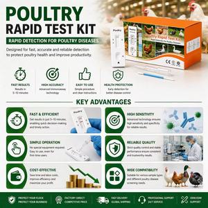 Kit de Prueba Rápida para Aves de Corral, Tira de Detección de Bronquitis y Enfermedad de Newcastle para la <span class=keywords><strong>Gestión</strong></span> de Granjas Avícolas - Product Image 1