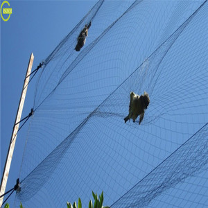 Réduction sur la filetage anti-oiseaux de 18 mm <span class=keywords><strong>pour</strong></span> la chasse aux oiseaux - Product Image 6