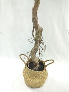 ต้นไม้ปลอมจำลองใบเล็กยาว130ซม. ทำจากพลาสติกและลวดเหล็ก - Product Image 5