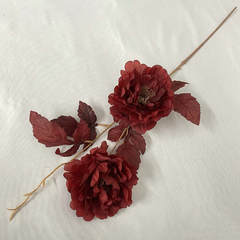 2 Eri Pivoine