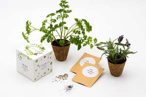 Kit de jardinage d'herbes aromatiques biologiques Kit de culture d'herbes aromatiques avec 8 kits de pots de démarrage d'herbes biodégradables - Product Image 2