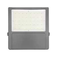 Projecteur LED SMD CHZ IP66 160lm/W 50000H en aluminium moulé sous pression AC 85-265V RoHS Garantie 5 ans