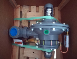 Régulateur de pression à raccord NPT modèle 99 - Product Image 2