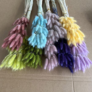 IFG gros bouquet Mini <span class=keywords><strong>Lagurus</strong></span> fleurs séchées naturelles pour mariage vivant décors à la maison - Product Image 5