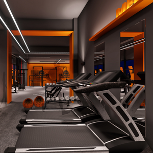 Solution de conception d'espace de salle de sport résidentielle, aménagement personnalisé de salle de fitness, approvisionnement complet pour villa et <span class=keywords><strong>appartement</strong></span> - Product Image 4