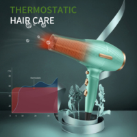 Sèche-cheveux professionnel texturé doré RE-2049 haute puissance séchage rapide avec 2 buses concentrateuses et air froid pour barbier