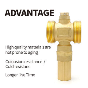 B & h 1 "-1-1/2" van an toàn van chống đóng băng cho hệ thống bơm nhiệt để ngăn chặn thiệt hại sương giá trong mùa đông - Product Image 4