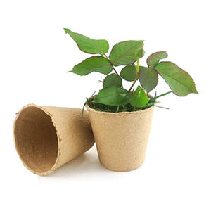 Tazza <span class=keywords><strong>di</strong></span> carta ecologica polpa rotonda biodegradabile pianta starter vassoi per piantine giardinaggio <span class=keywords><strong>vasi</strong></span> <span class=keywords><strong>di</strong></span> <span class=keywords><strong>torba</strong></span> per piante - Product Image 3