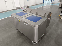 SUS304 Bubbelwas- en ontwateringsmachine met vibratie-ontwatering voor hotels, kantines, fruit- en groenteverwerkingsbedrijven