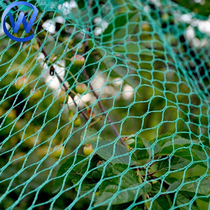 Nông nghiệp nuôi trồng thủy sản màu đen 10cm Lưới chim lưới 100m x 4m trang trại che cây ăn quả lớn hơn chim Predator <span class=keywords><strong>Net</strong></span> cho ao cá - Product Image 6