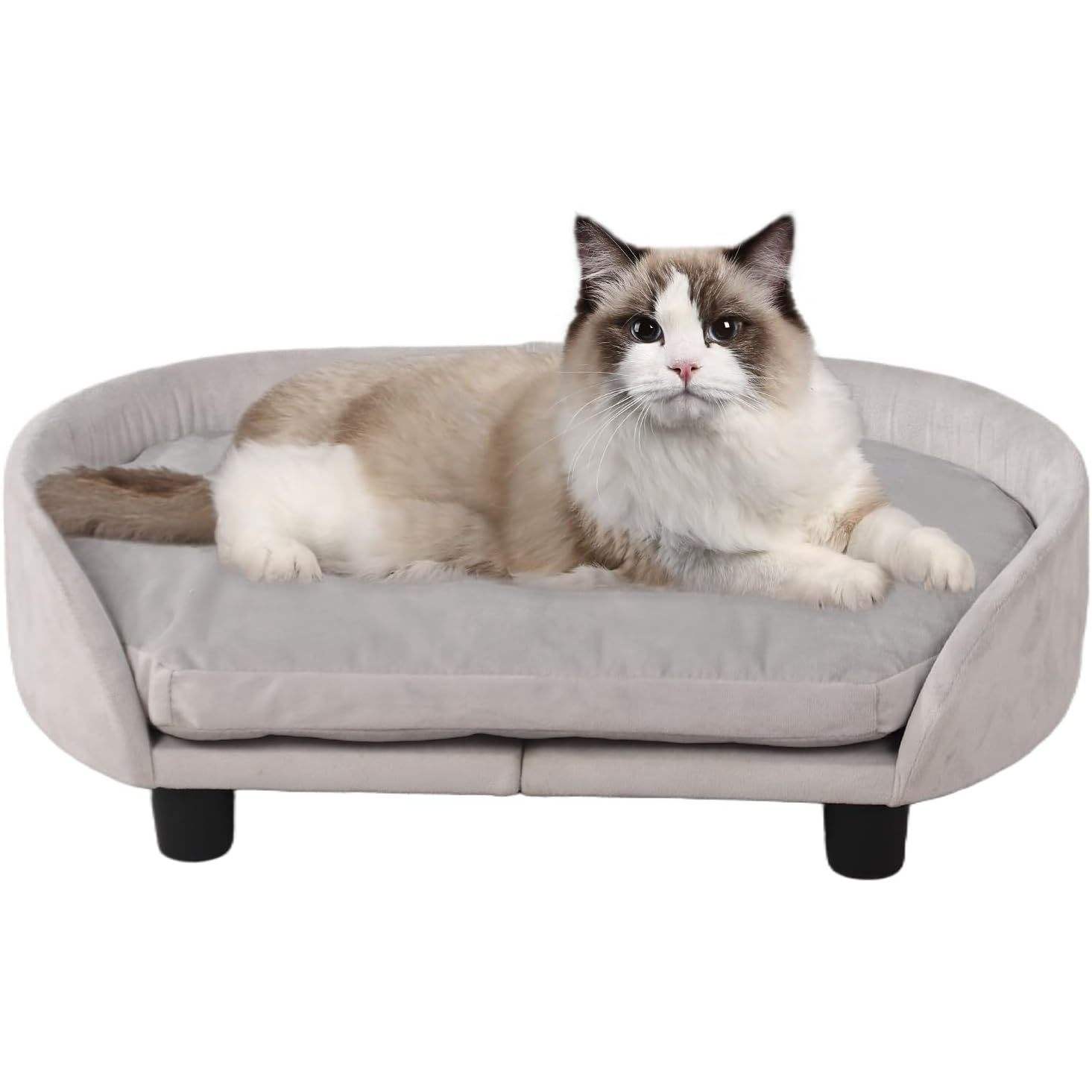 สีเทาอ่อน