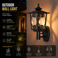 Lanterne murale extérieure européenne avec cadre ovale décoratif pour l'éclairage des jardins de villas