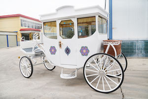 Carruaje Eléctrico sin Caballos para Bares y Clubes, Carroza Real para Sesiones Fotográficas de Bodas, Carruaje de Princesa para Reyes - Product Image 4