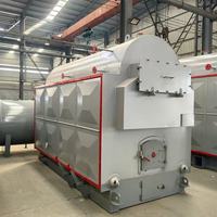 Chaudière à vapeur au biomasse DZH de 1 tonne avec fonctionnement simple et entretien pratique, chaudière à vapeur au biomasse