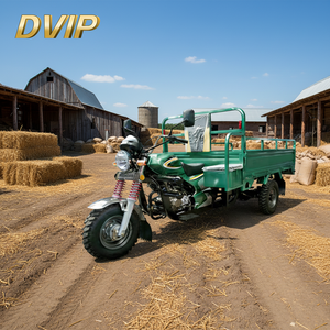 Tricycle à <span class=keywords><strong>3</strong></span> roues <span class=keywords><strong>300CC</strong></span> à refroidissement par eau - Moto cargo à essence durable, <span class=keywords><strong>scooter</strong></span> motorisé pour adultes - Product Image 1