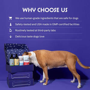 Suplemento de Óleo de Salmão Selvagem do Alasca para Cães OEM/ODM |   3X Ácidos Graxos Omega-3 |   Certificado GMP |   Absorção Rápida |   Suporte Imunológico | - Product Image 3