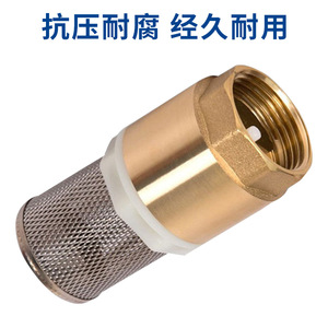 Vanne de retenue Yuhuan 1 pouce en alliage de cuivre avec filtre pour pompe à eau, utilisation à basse température - Product Image 3