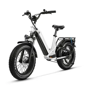 CE EN15194 ISO 9001 OUKA Ebike OEM double battery dual suspension mountain electric fat bicicleta beach cruiser bicycle e bike