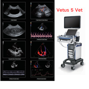 Mingray Vetus 5 troli, sistem <span class=keywords><strong>Ultrasound</strong></span> diagnostik 3D <span class=keywords><strong>4D</strong></span> Vetus 5exp warna Vet Doppler <span class=keywords><strong>Ultrasound</strong></span> dengan troli - Product Image 2
