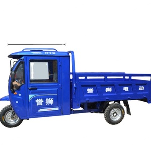Steel Iron Cargo Electric Tricycle Farm Use 48v-60v Motorized 800w-1000w Power Drum Brake Open Closed Body Type 500kg Curb - Product Image 1