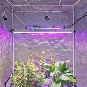 Liweida, 1,<span class=keywords><strong>2</strong></span> м, алюминиевая панель, светодиодная лампа для растений, с регулируемой яркостью, полный спектр, с водонепроницаемыми полосками для объектива 60, 90 градусов, для внутреннего садоводства - Product Image 2